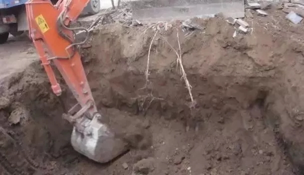 【案例】北京自建帶花園的中式別墅，精致豪華人人羨！